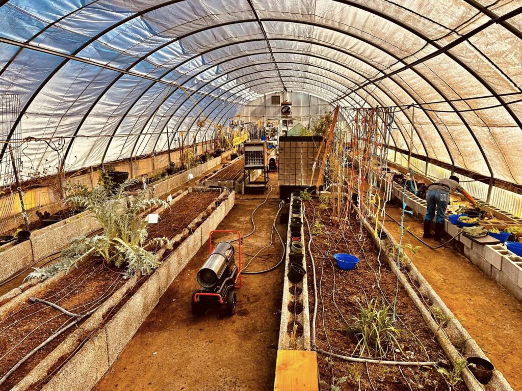 B Organic Farm Greenhouse 1
