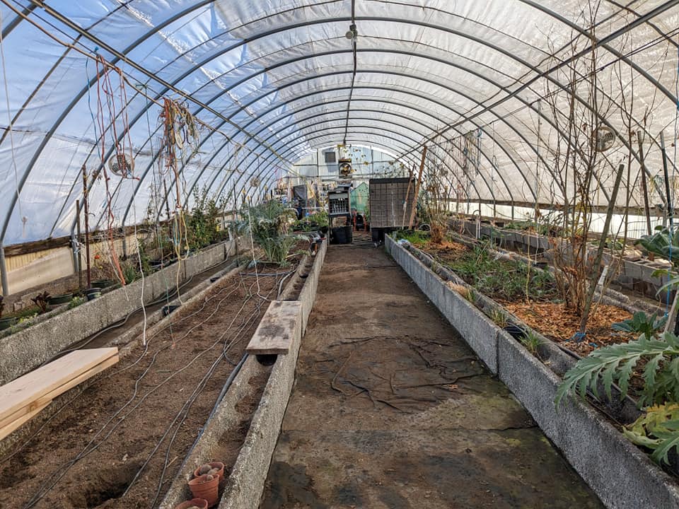 The Winter Greenhouse 2